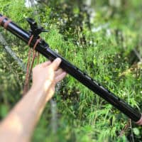 Flauta NAF Black Bird