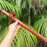 Flauta Nativa Ashar Estilo NAF - Roots Red