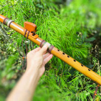 Flauta Nativa Ashar - Águia