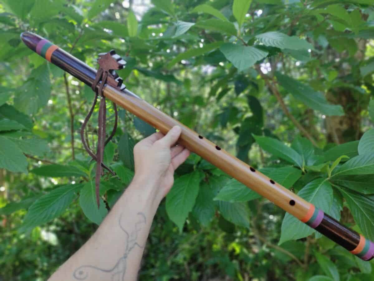 NAF Classica C4