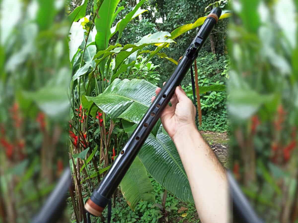 Flauta Nativa Ashar Black Wolf