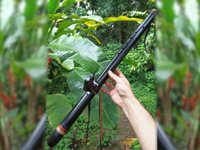 Flauta Nativa Ashar Black Wolf