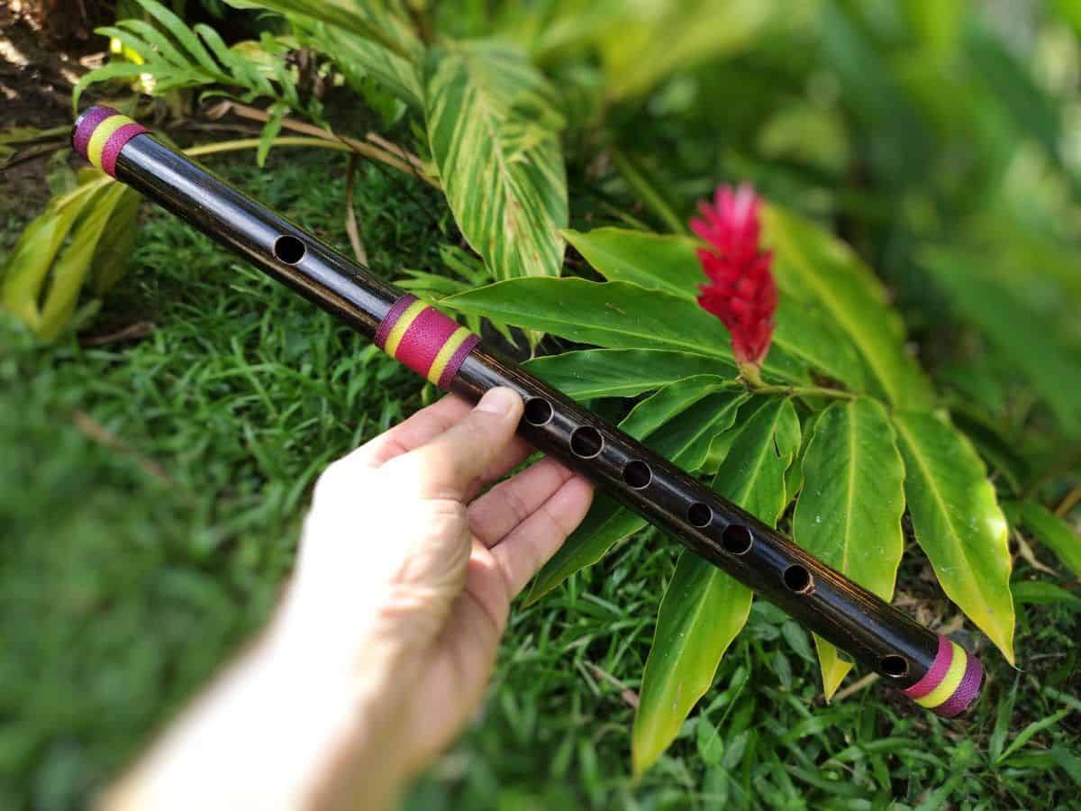 Pífano Ashar - Bambu Nogueira Negra Profissional - Imagem 2