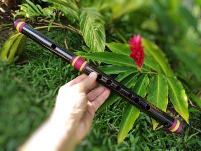 Alternative view of Pífano Ashar - Bambu Nogueira Negra Profissional