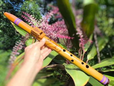 Flauta Shiva A - Estilo NAF com Escala Bhairav 2