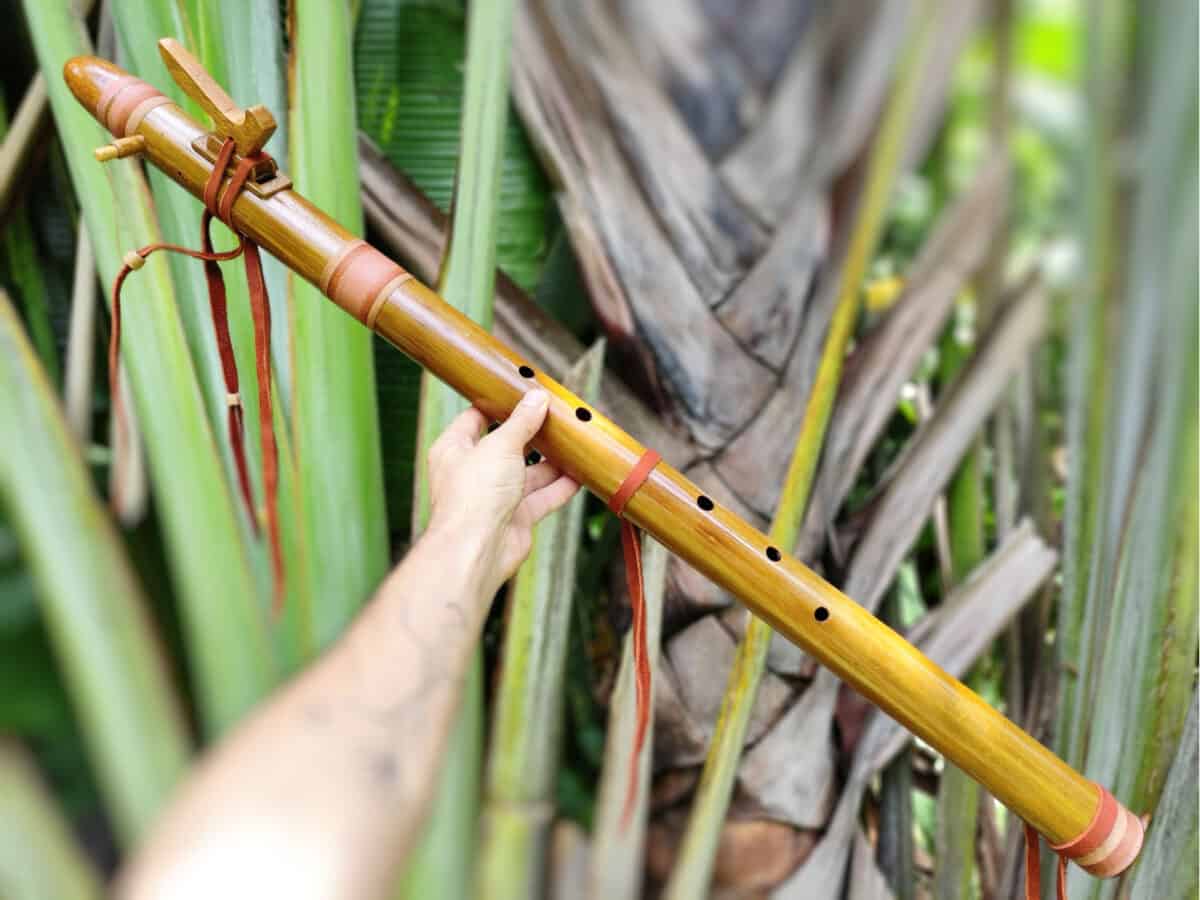 Flauta Nativa Ashar Série Gound -G Baixo