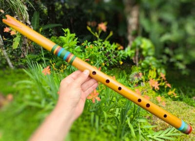 Quenacho Bambu Especial C | Ashar