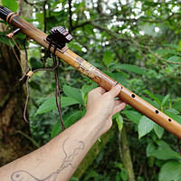 Flauta Nativa Ashar - C - Totem Leão