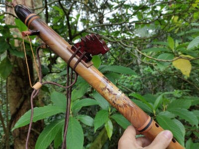 Flauta Nativa Ashar - C - Totem Leão