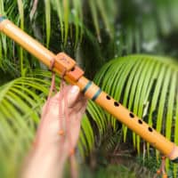 Flauta Nativa Ashar River Cane C Alto