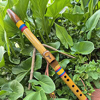 Flauta Estilo Nativa Americana - River Cane - C Alto photo review