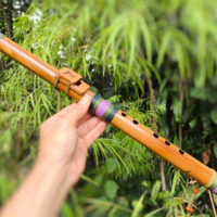 Flauta Nativa Ashar - River Cane B