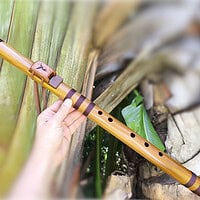 Flauta Estilo Nativa Americana - River Cane - F# photo review