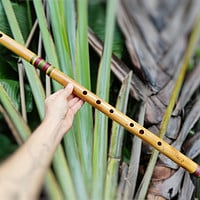 Bansuri Ashar F