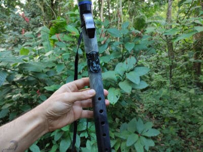 Flauta Nativa Pantera