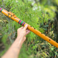 Flauta Nativa Ashar - River Cane D - com Bocal em Madeira