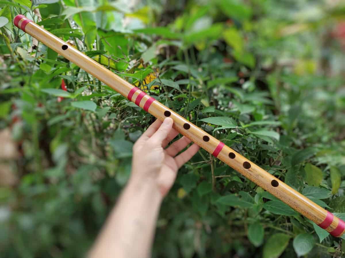 Bansuri Ashar - Bambu Indiano - G Médio - Imagem 6