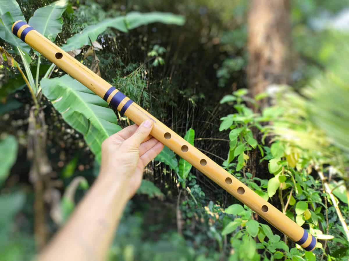 Bansuri Ashar G