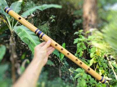 Bansuri Ashar G