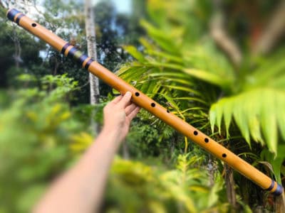 Bansuri Ashar C Baixo