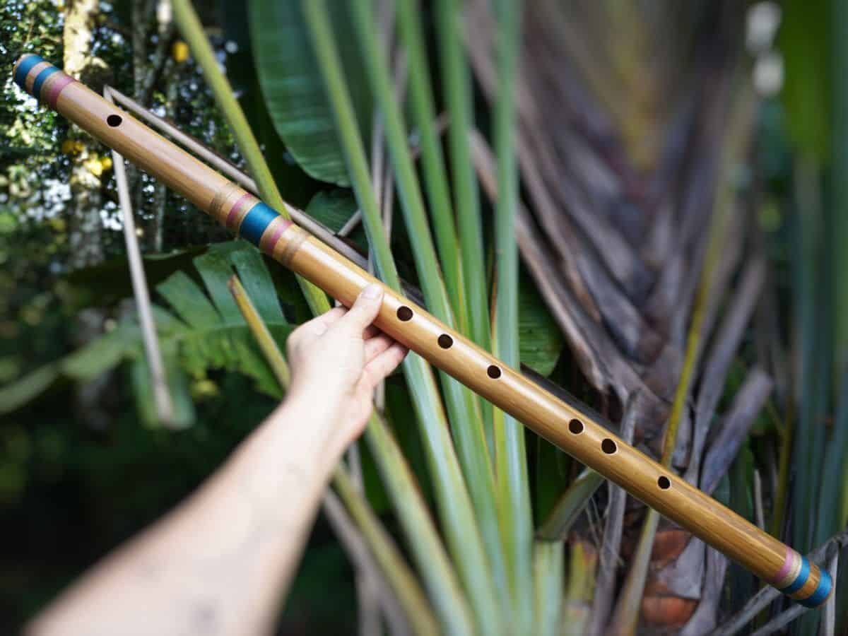 Bansuri Ashar - Bambu Indiano - D Baixo - Imagem 2