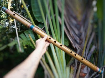 Alternative view of Bansuri Ashar - Bambu Indiano - D Baixo