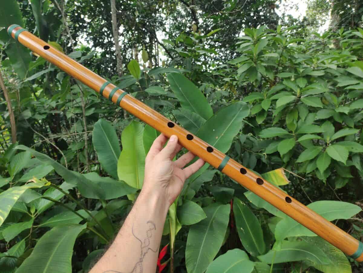 Bansuri Ashar - Bambu Indiano - D Baixo - Imagem 5