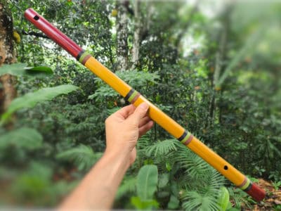 Alternative view of Flauta de Harmônicos Abuelos - C
