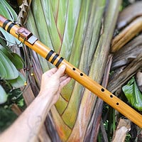 Flauta Estilo Nativa Americana - River Cane - C photo review