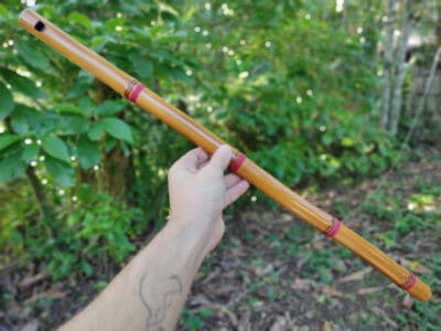 Flauta de Harmônicos