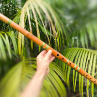 Flauta Estilo Anasazi - G Baixo - Bambu Natural photo review