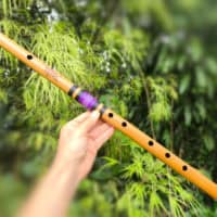 Flauta Zen E - Ashar