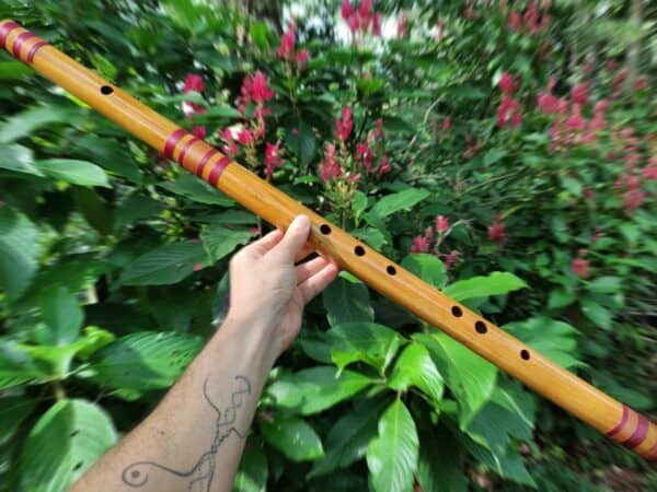 Bansuri Ashar E Bass