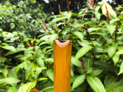 Xiao F - Flauta Estilo Tang Xiao - Bocal Aberto - 8 Furos 4