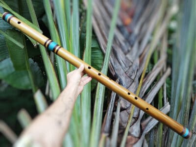 Bansuri Ahsar B Super Baixo