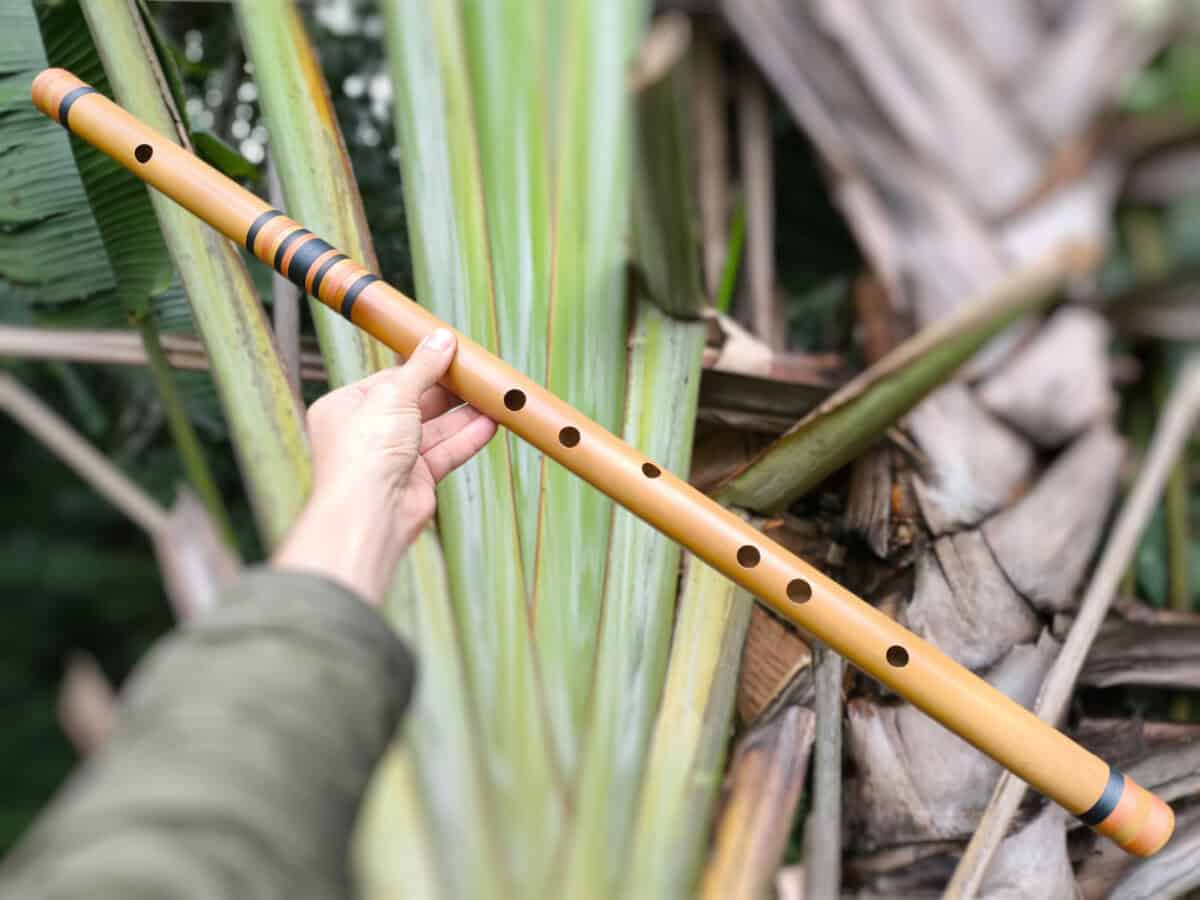 Bansuri Ashar D# Bass