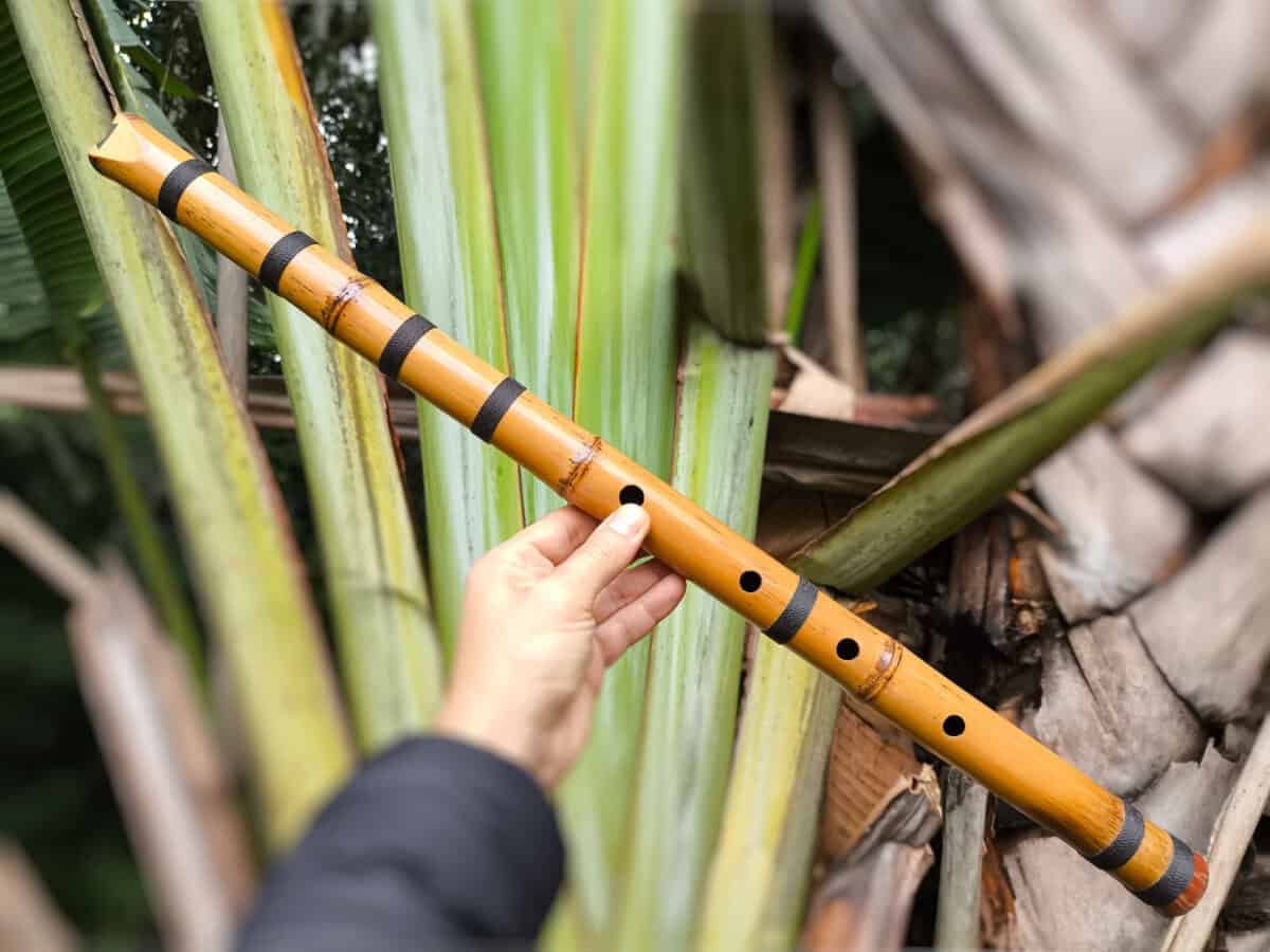 Flauta Estilo Shakuhachi B