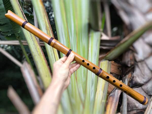 Flauta Estilo Xiao Tang E