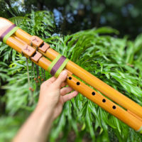 Flauta Estilo Nativa Americana Dupla Drone - Ashar - F#