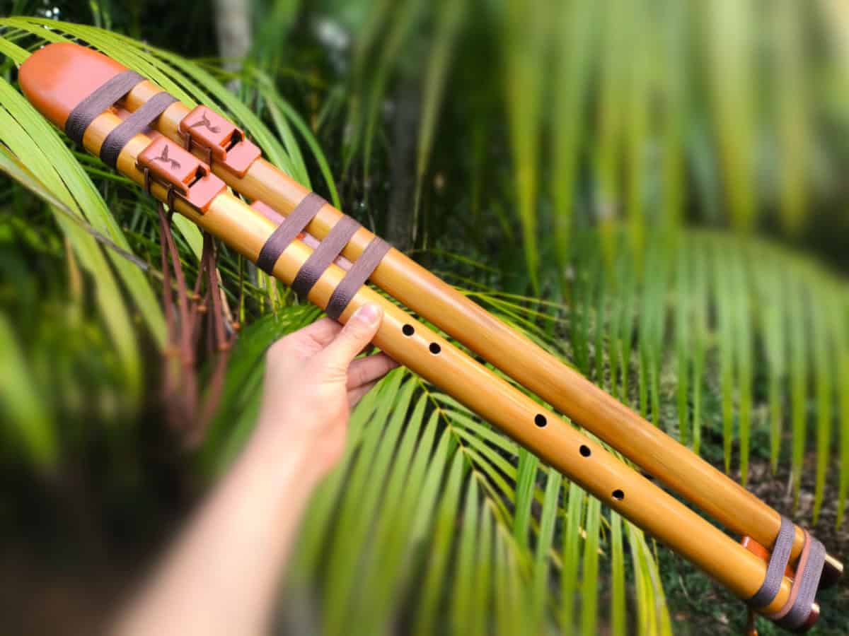 Flauta NAF Dupla Ashar B-baixo
