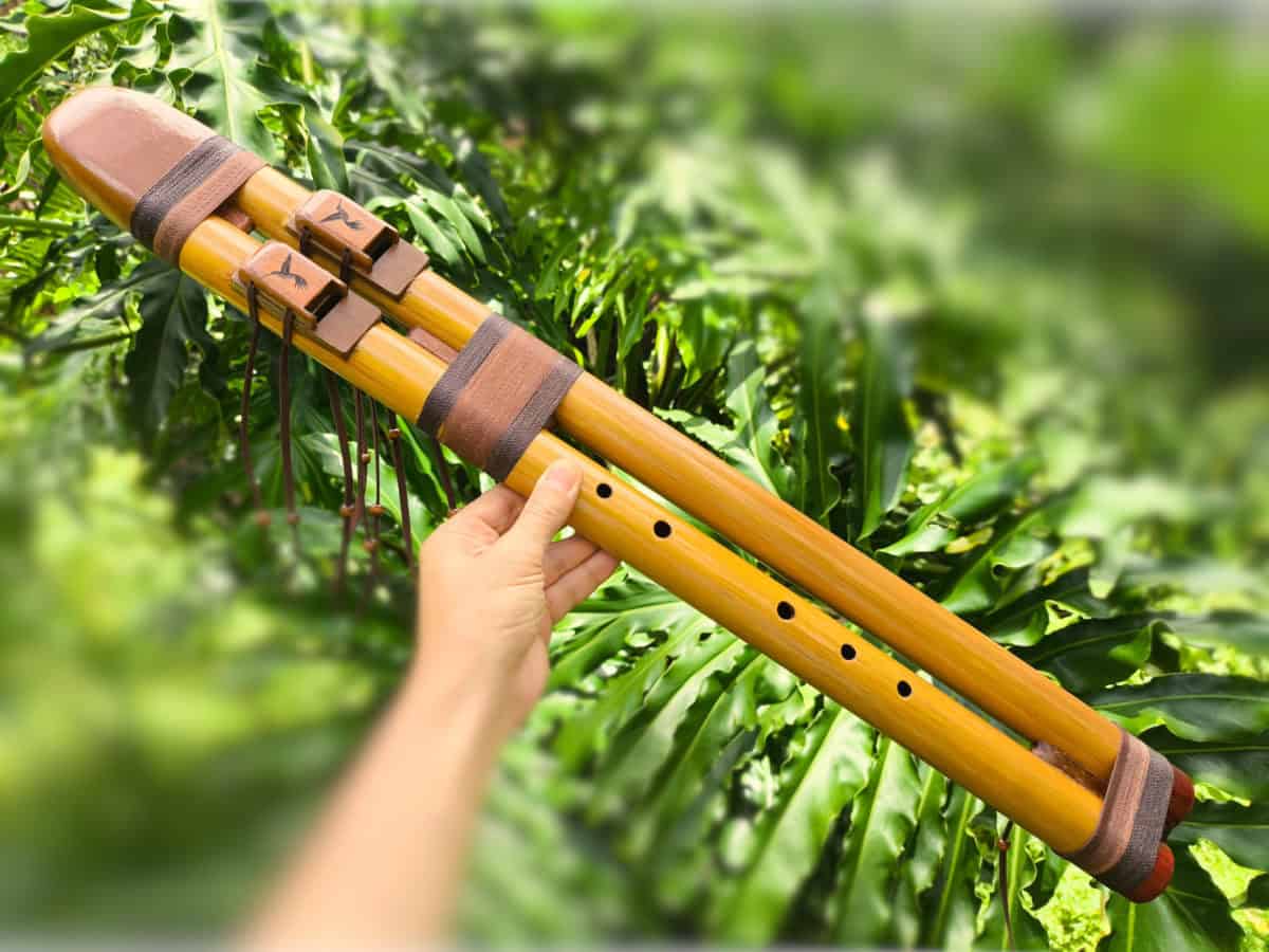 Flauta Estilo Nativa Americana - Série Dupla - River Cane - C# - Imagem 2