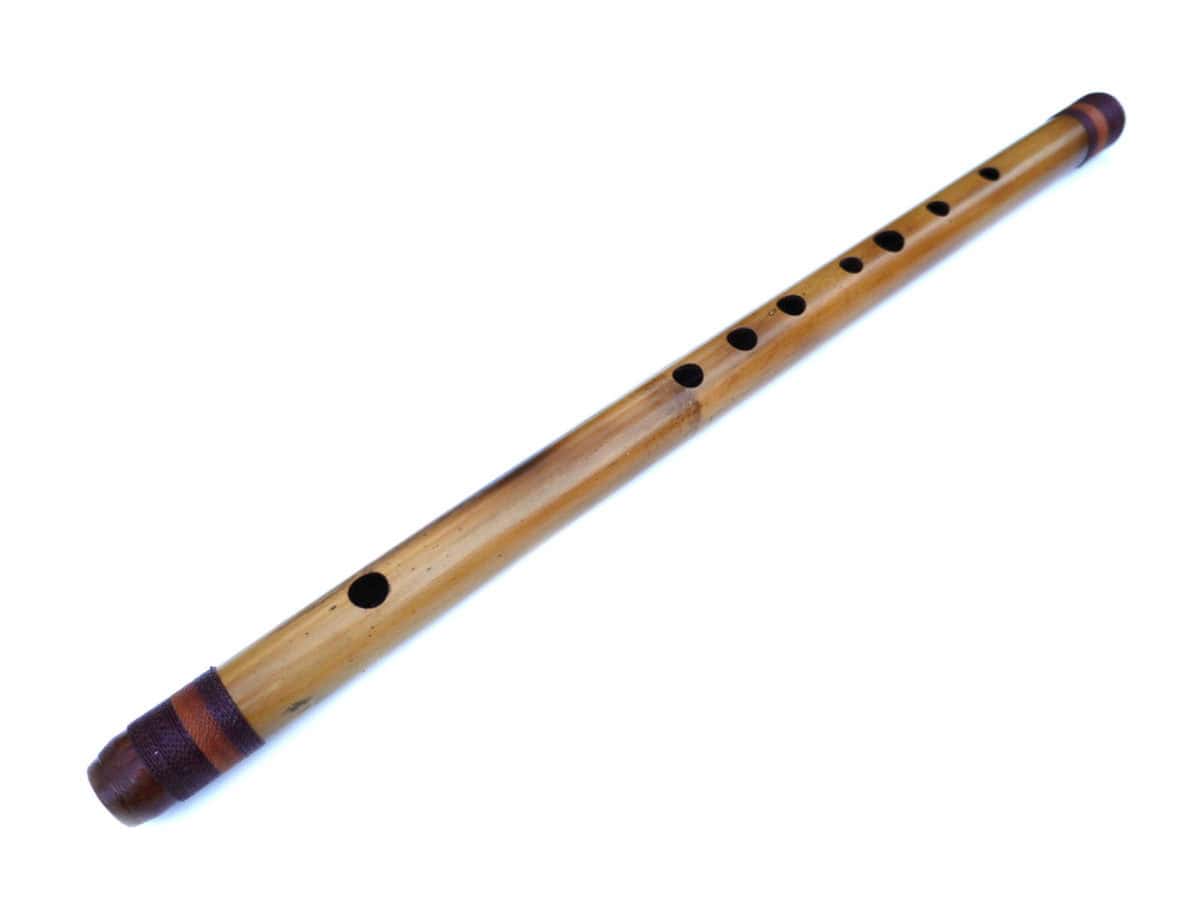 Shinobue A | Ashar