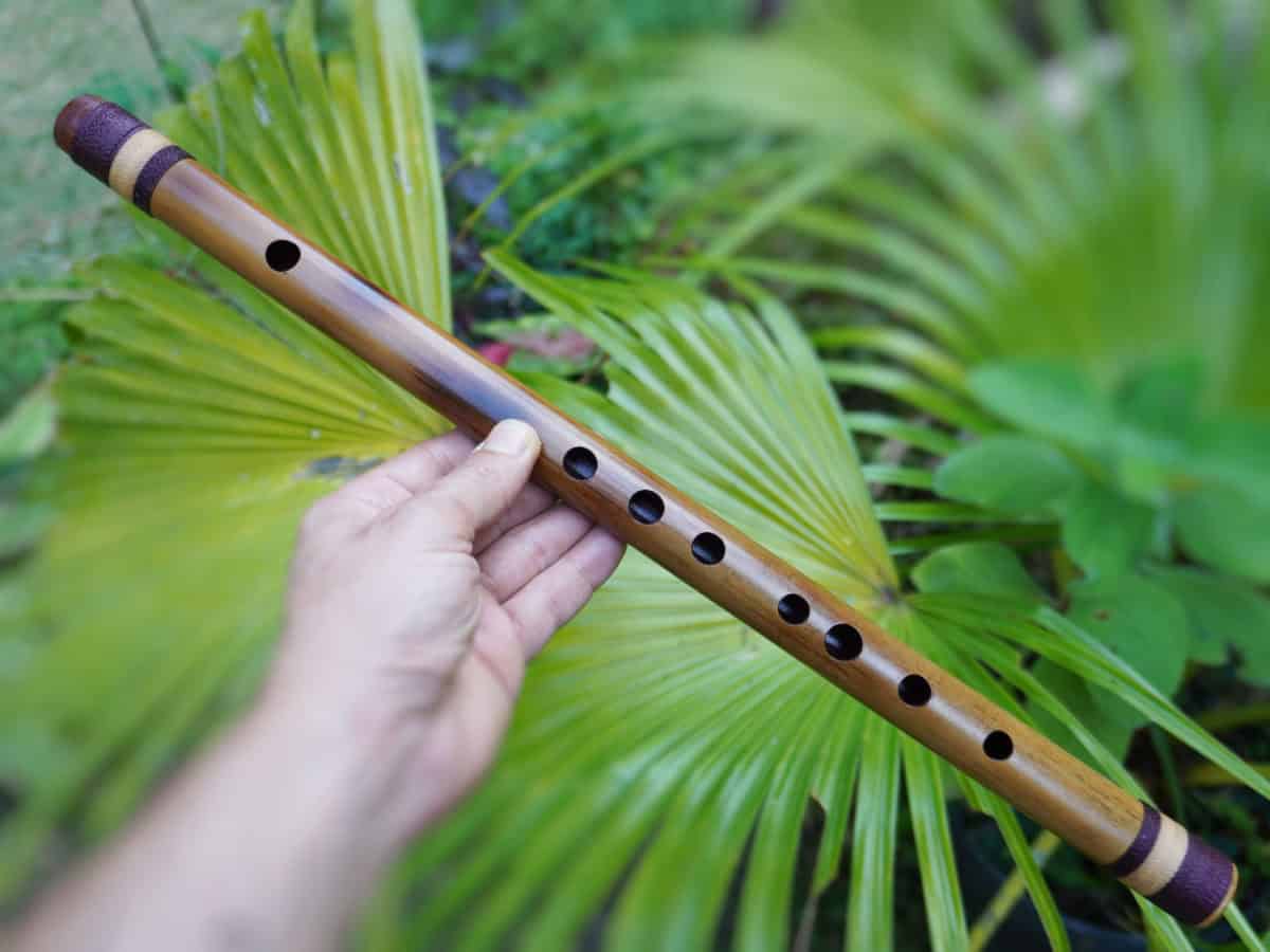 Shinobue B | Ashar