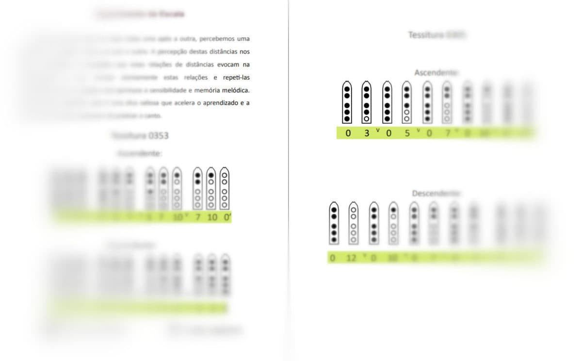 Tablatura Canto de Flauta Vol.1 - Impresso - Imagem 2