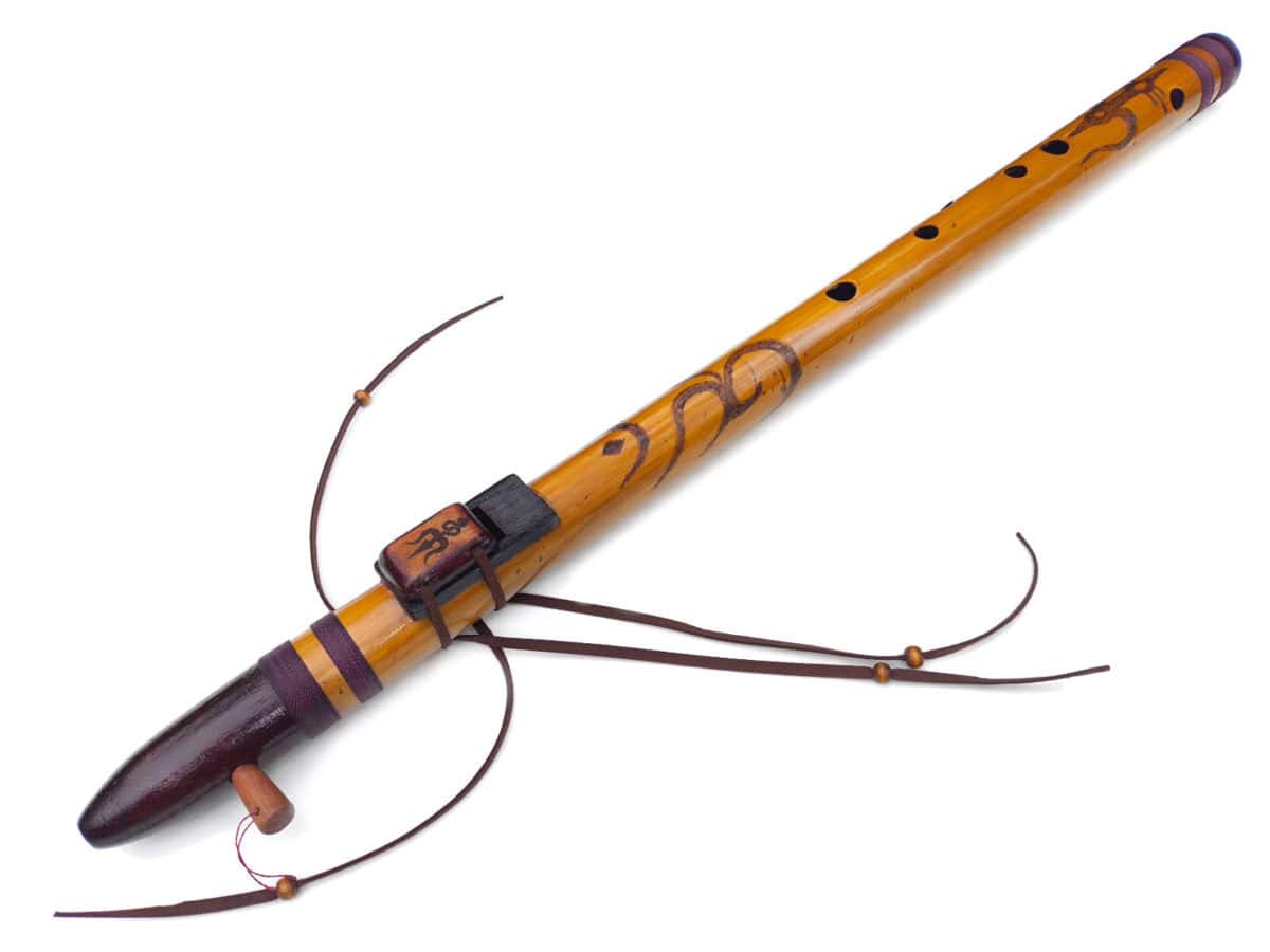Flauta Shiva D - Estilo NAF com Escala Bhairav
