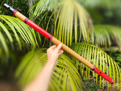 Flauta Estilo Kuluta - A baixo - Bambu Especial 13 Flauta Estilo Kuluta A baixo - Ashar