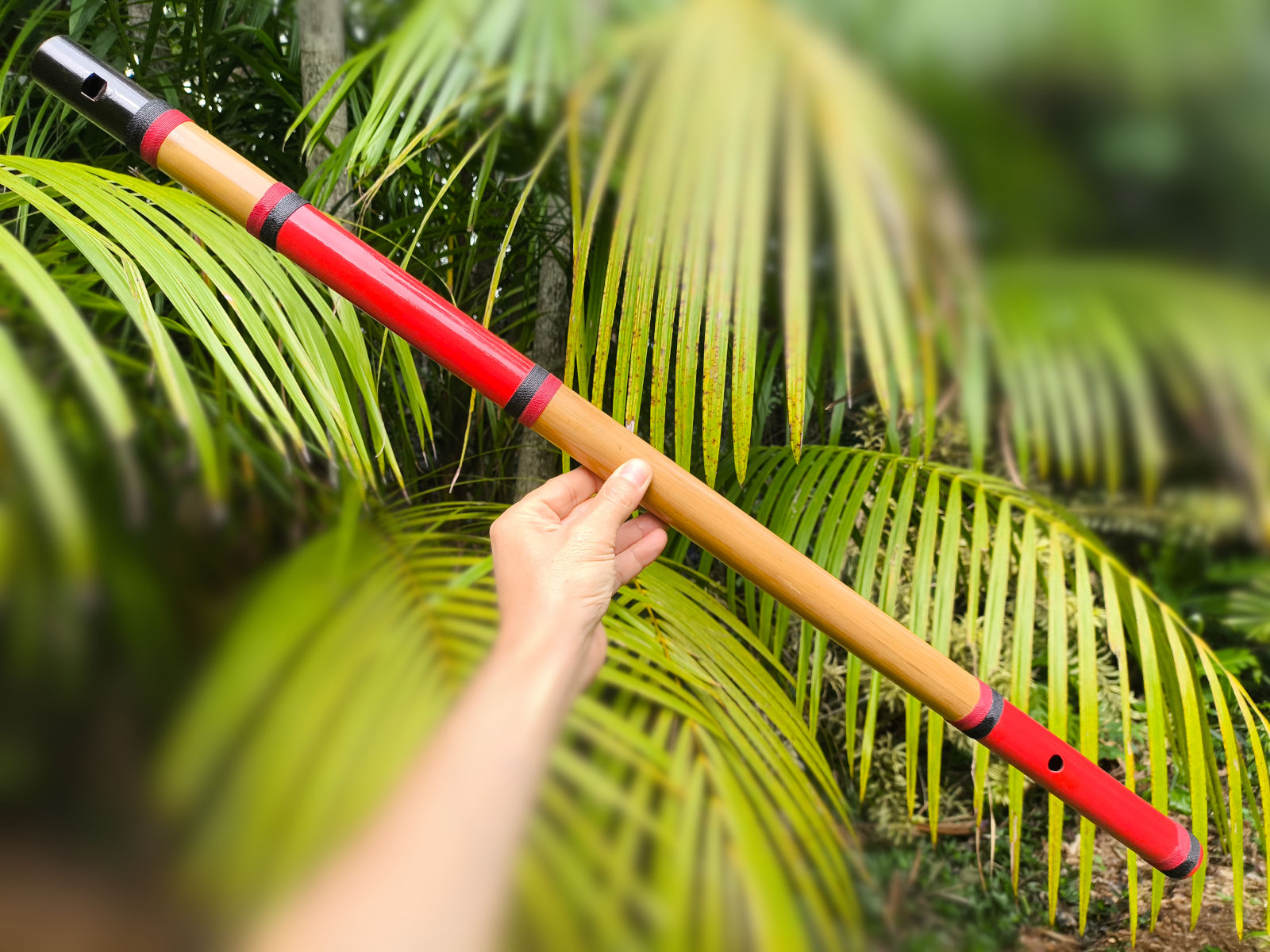 Flauta Estilo Kuluta - A baixo - Bambu Especial 8 Flauta Estilo Kuluta A baixo - Ashar