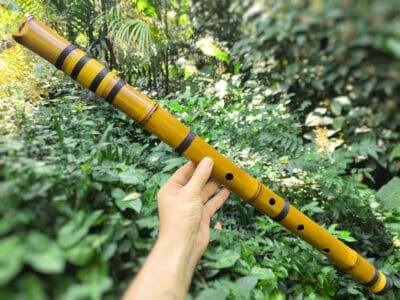 Alternative view of Shakuhachi 2.3 - Flauta de Bambu sem raiz Estilo Shakuhachi - A Baixo