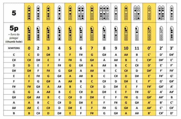 Manual de Instruções Flauta Nativa - NAF 6