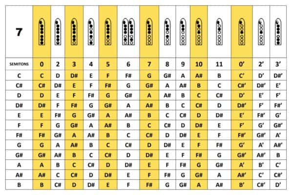 Manual de Instruções Flauta Nativa - NAF 8